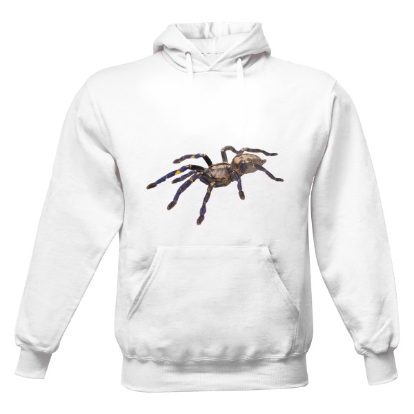 Men's hoodie s potiskem Poecilotheria metallica