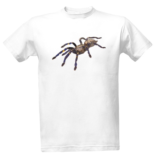 Poecilotheria metallica T-shirt