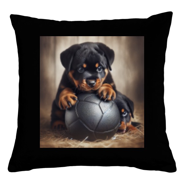 Štěně Rotvajlera – Míčový Hráč