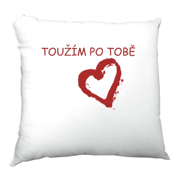 Toužím po tobě