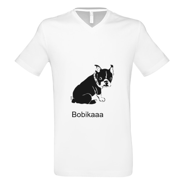Tričko s potiskem Postaráte se mi o Bobíka? 