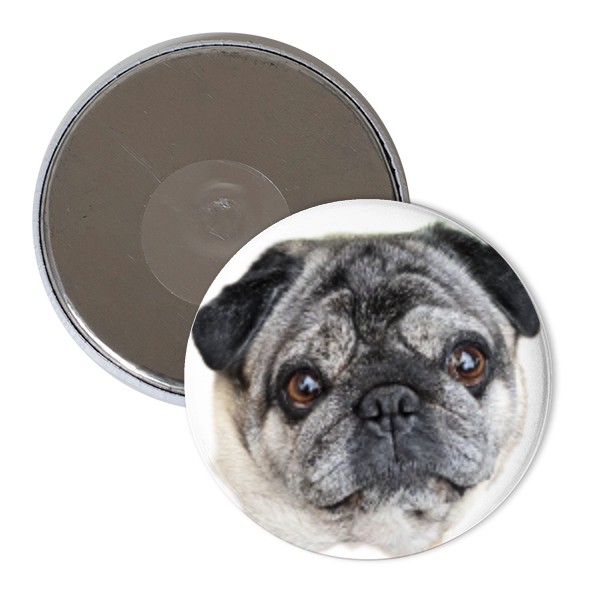 Magnet  s potlačou Nový produkt