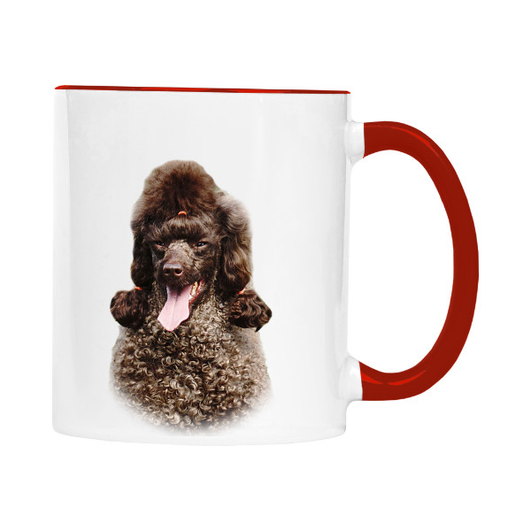 Cup colourful s potiskem Nový produkt