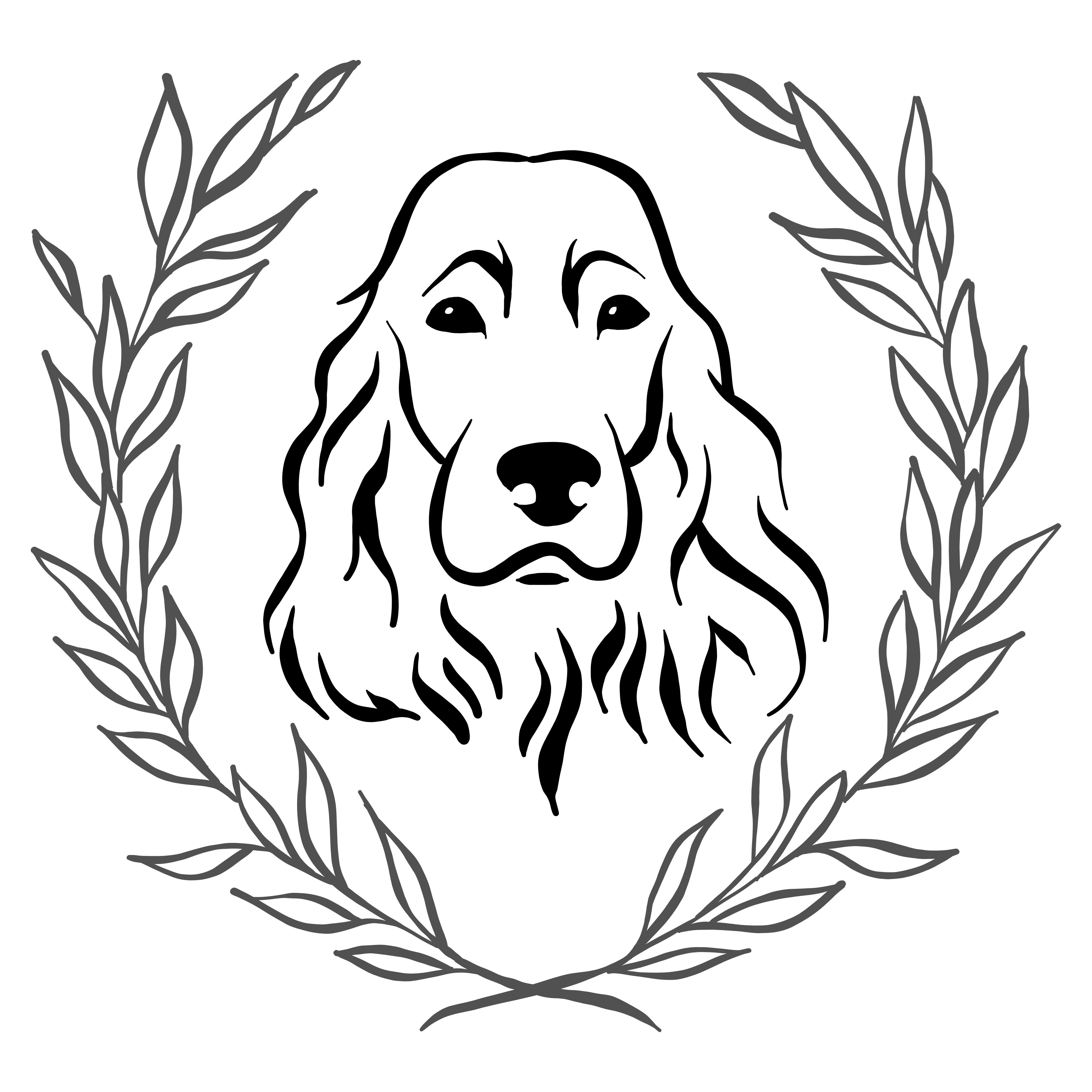 T-shirt English Cocker Spaniel