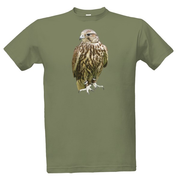 Tričko s potiskem Raroh velký