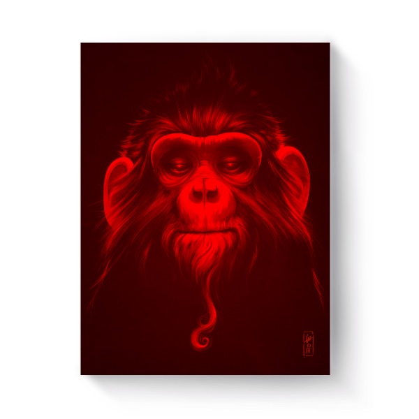 Fotoplátno 3:4 s potiskem Red Monkey (Plátno)