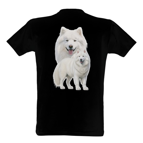 Samojed z obou stran 