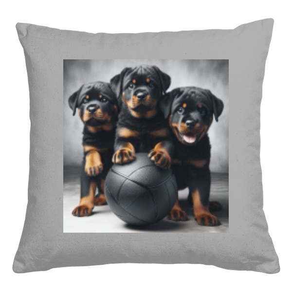 Hravý šampion: Rotvajler štěně s míčem