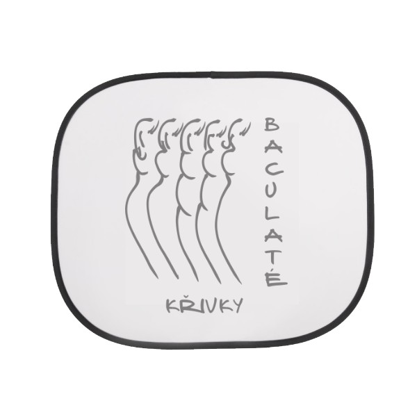 Tienidlo do auta s potlačou Nový produkt