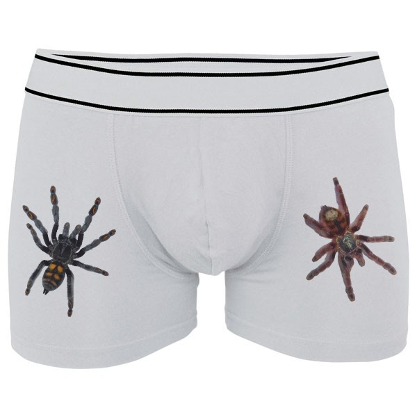 Kariban Boxers Tree tarantulas mix