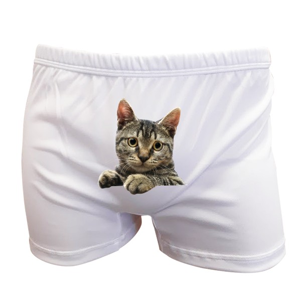 Trenýrky s potiskem Trenýrky s číčou