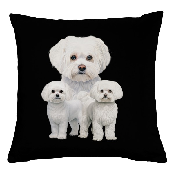 Tři maltézscí psíci