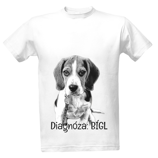 Diagnóza BÍGL 