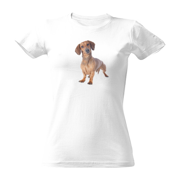 Tričko s potiskem Tričko Jezevčíka