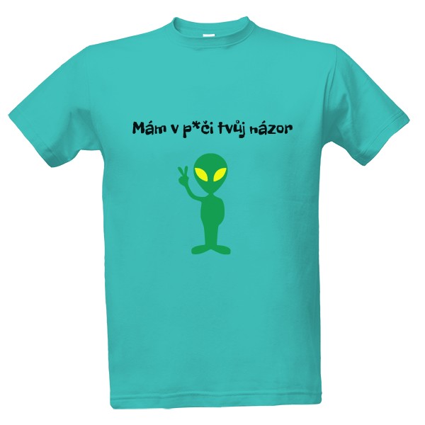 Tričko s potiskem Tričko mám v p*či (pánské) 