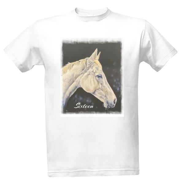 Tričko Sixteen  T-shirt