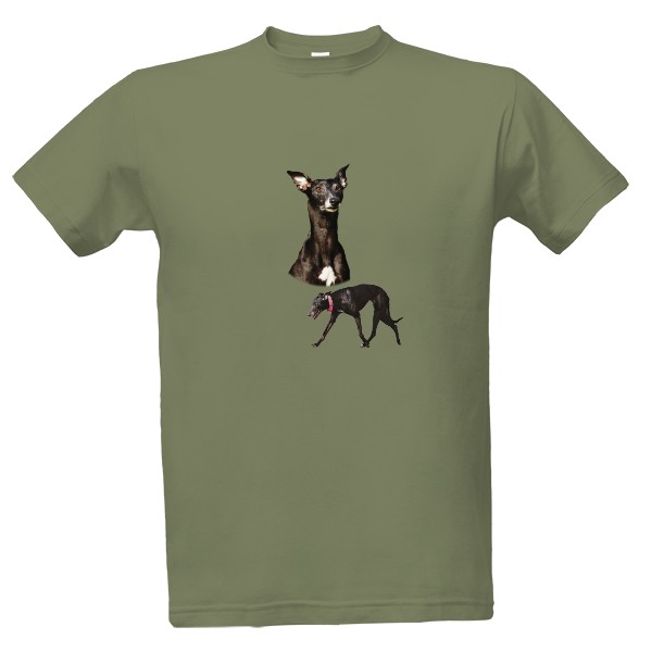 Tričko s potiskem Vipet