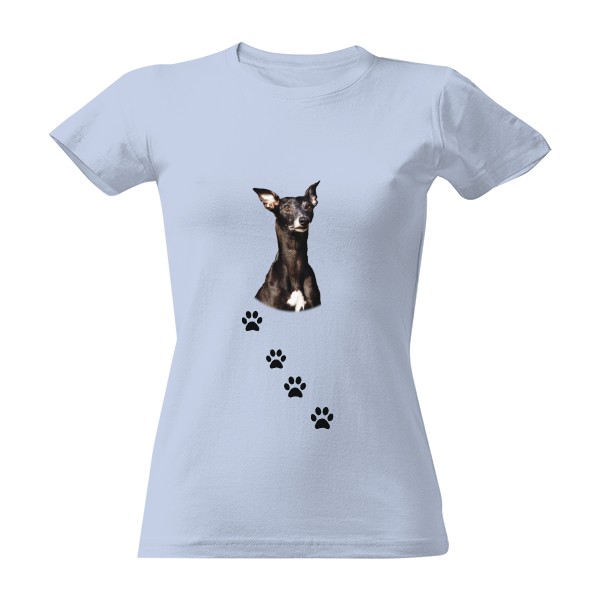 Tričko s potiskem Vipet