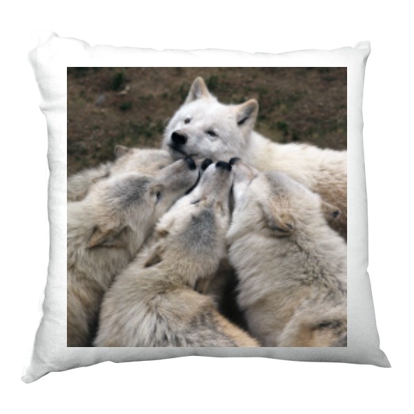 vlk arktický polštář