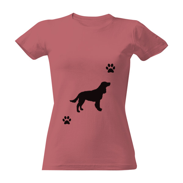 with an Irish Setter for a walk T-shirt
