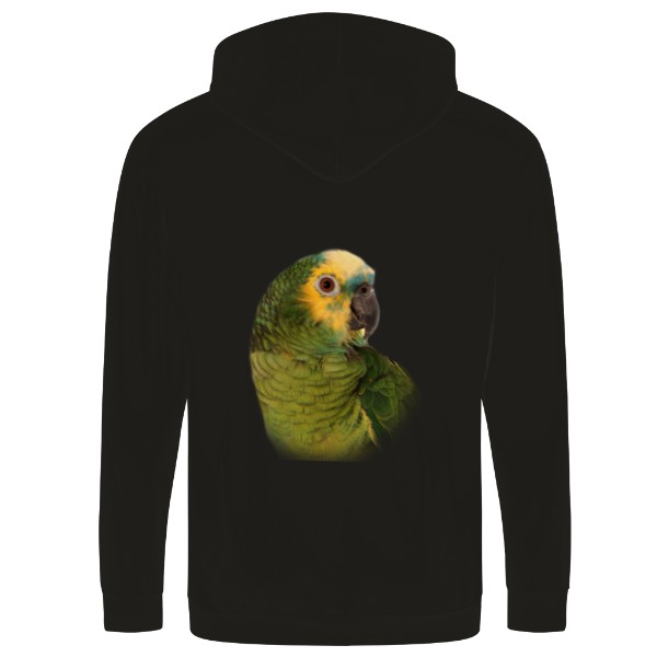 Amazoňan modročelý