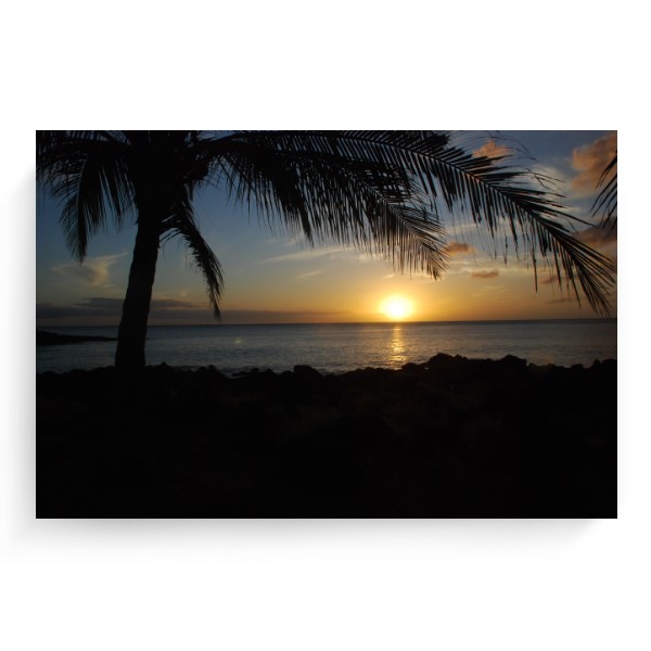 Západ slunce s palmou Hawaii