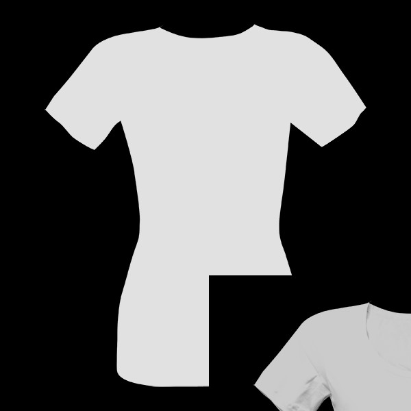 Tričko s potiskem Speciální zásilka