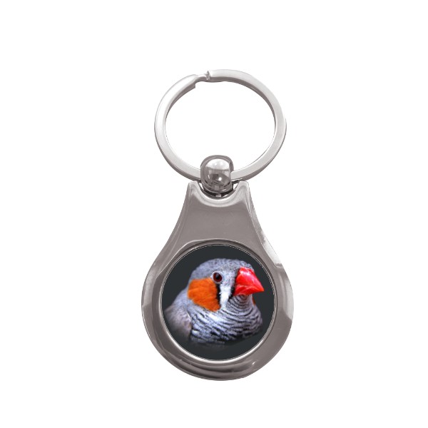 Přívěsek na klíče kolečko s potiskem Zebřička pestrá