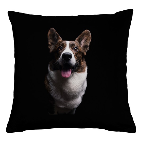 Žíhaný corgi Cardigan 