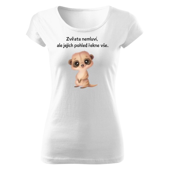 Zvířata nemluví, ale jejich pohled řekne vše